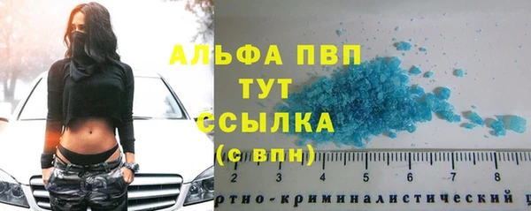 ешки Новозыбков