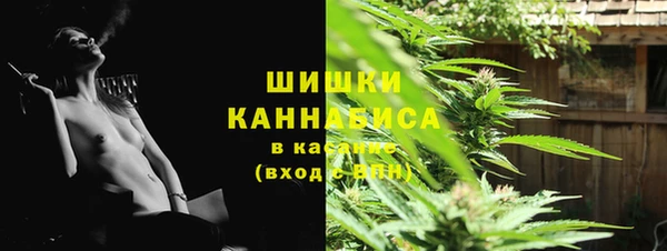 ешки Новозыбков