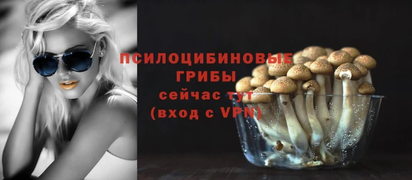 экстази Новодвинск