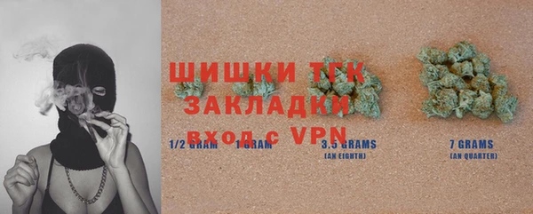 ешки Новозыбков