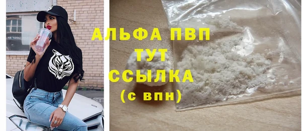 ешки Новозыбков