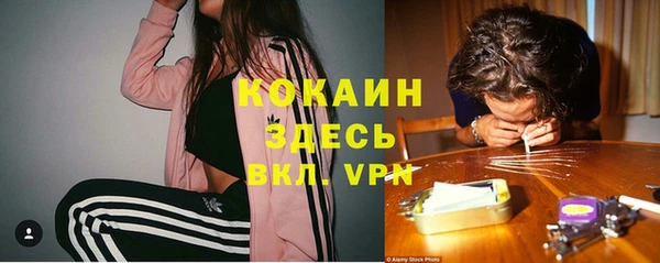 ешки Новозыбков