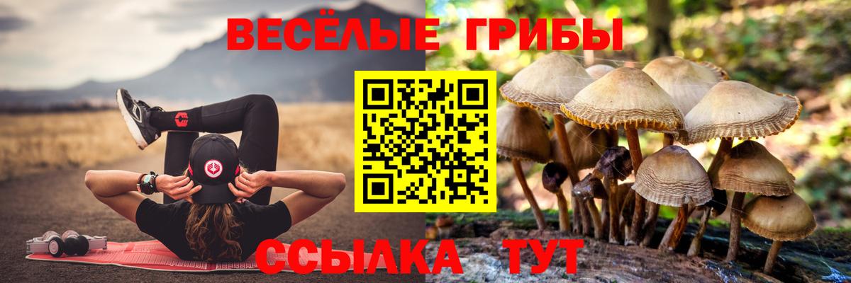 Галлюциногенные грибы прущие грибы  Вход с VPN  Псилоцибиновые грибы ЛСД  Фурманов 